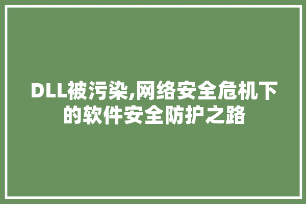 DLL被污染,网络安全危机下的软件安全防护之路