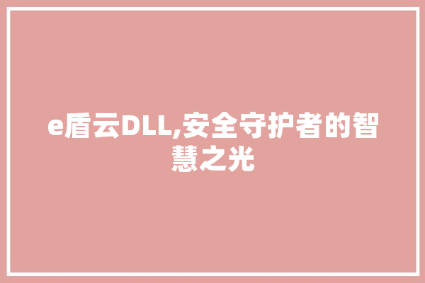 e盾云DLL,安全守护者的智慧之光