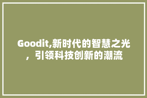 Goodit,新时代的智慧之光，引领科技创新的潮流