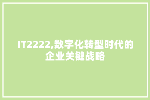 IT2222,数字化转型时代的企业关键战略 智能助手