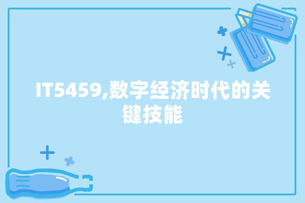IT5459,数字经济时代的关键技能