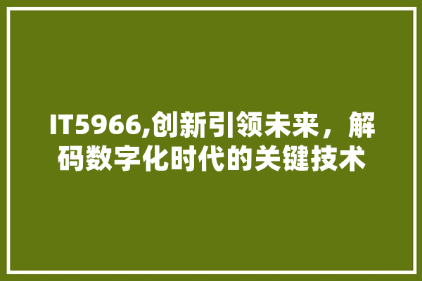 IT5966,创新引领未来，解码数字化时代的关键技术