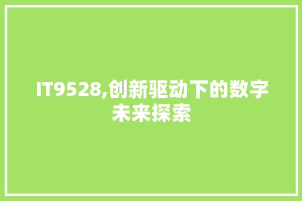 IT9528,创新驱动下的数字未来探索 绘影字幕