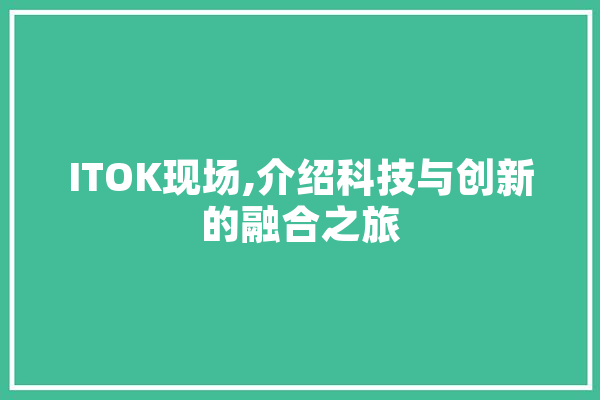ITOK现场,介绍科技与创新的融合之旅