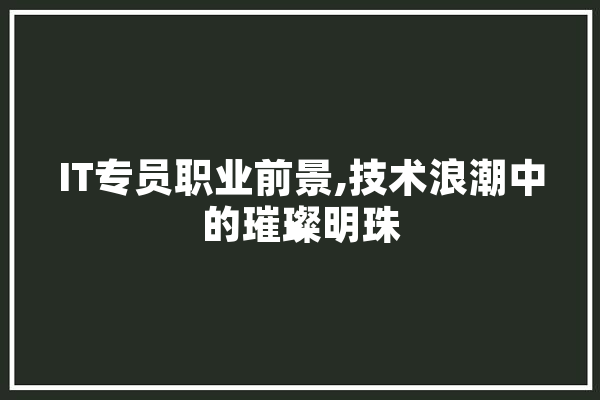 IT专员职业前景,技术浪潮中的璀璨明珠