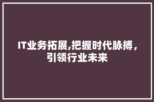 IT业务拓展,把握时代脉搏，引领行业未来