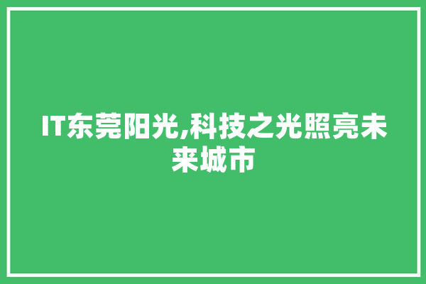 IT东莞阳光,科技之光照亮未来城市 智能助手