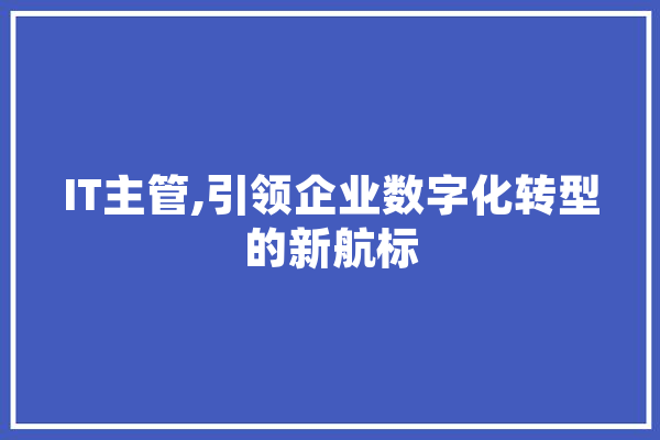 IT主管,引领企业数字化转型的新航标
