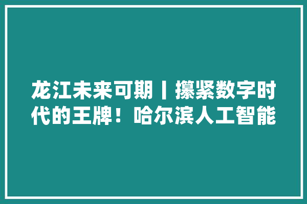 龙江未来可期丨攥紧数字时代的王牌！哈尔滨人工智能成长步入“快车道”_人工智能_哈尔滨市 绘影字幕