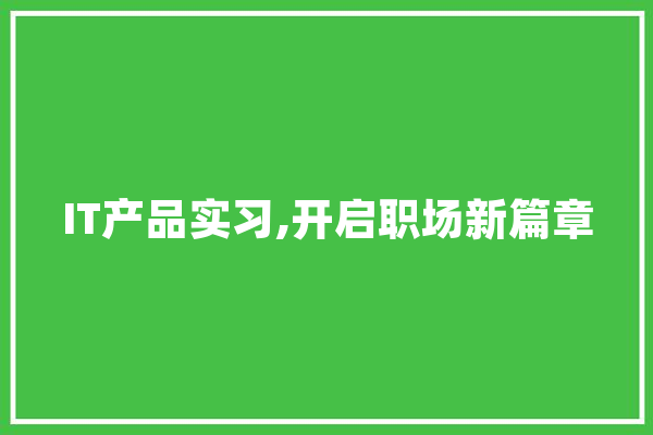 IT产品实习,开启职场新篇章
