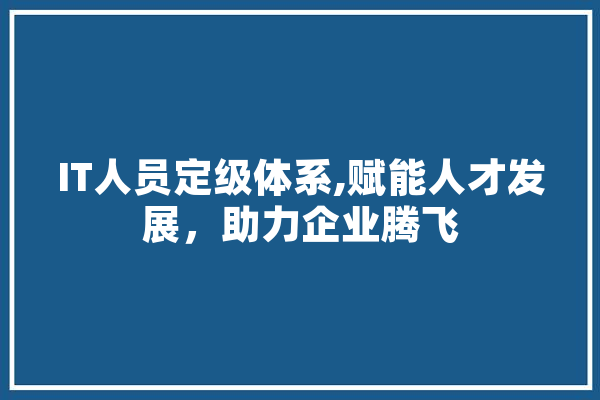 IT人员定级体系,赋能人才发展，助力企业腾飞
