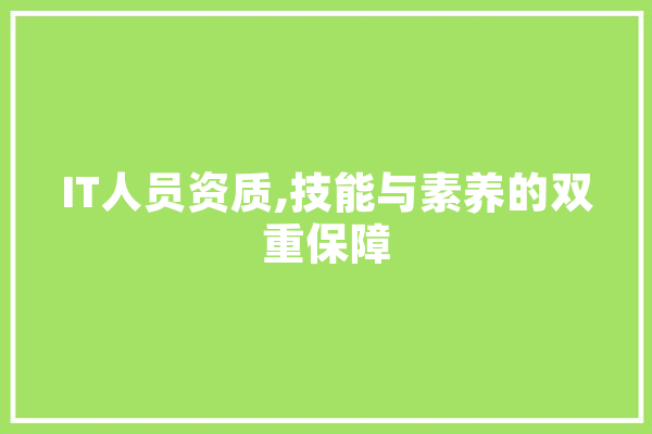 IT人员资质,技能与素养的双重保障 绘影字幕