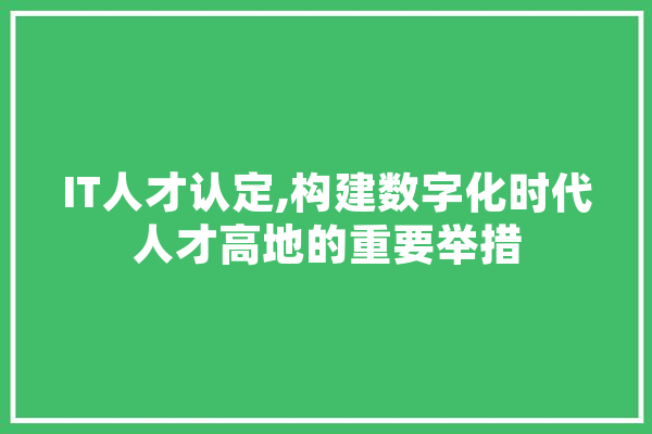 IT人才认定,构建数字化时代人才高地的重要举措 计算机