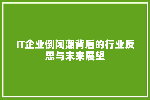IT企业倒闭潮背后的行业反思与未来展望 科技快讯