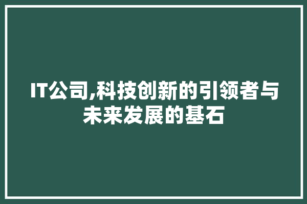 IT公司,科技创新的引领者与未来发展的基石 科技快讯