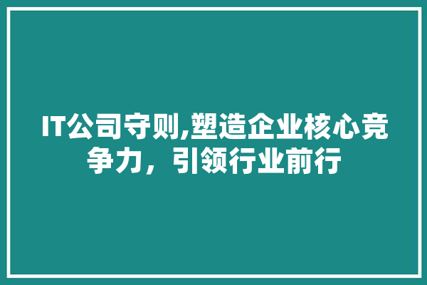 IT公司守则,塑造企业核心竞争力，引领行业前行