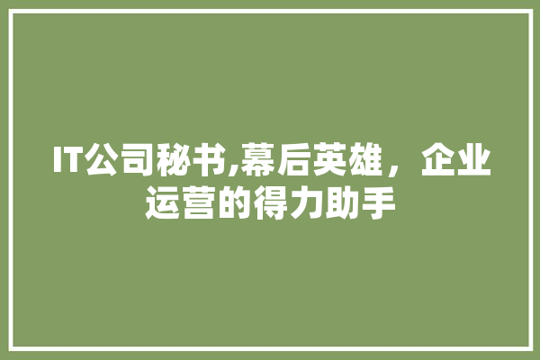 IT公司秘书,幕后英雄，企业运营的得力助手 云服务