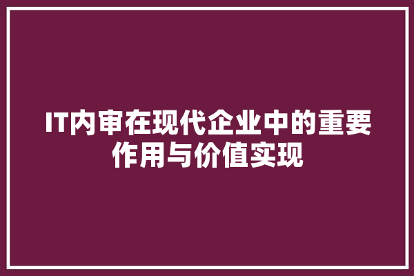 IT内审在现代企业中的重要作用与价值实现