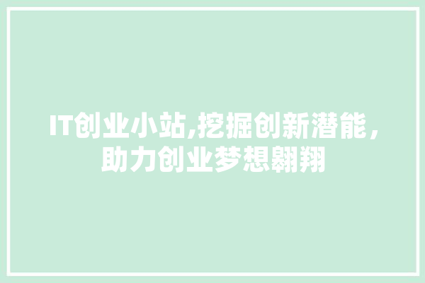 IT创业小站,挖掘创新潜能，助力创业梦想翱翔