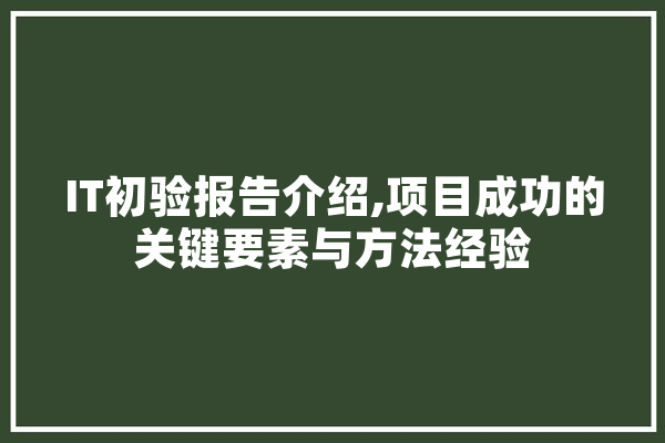 IT初验报告介绍,项目成功的关键要素与方法经验