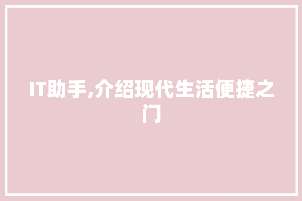 IT助手,介绍现代生活便捷之门