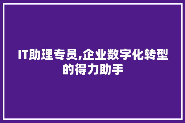 IT助理专员,企业数字化转型的得力助手 AI快讯