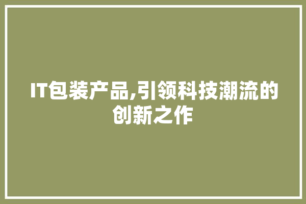 IT包装产品,引领科技潮流的创新之作