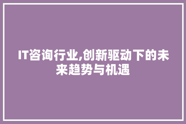 IT咨询行业,创新驱动下的未来趋势与机遇