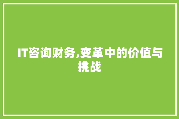 IT咨询财务,变革中的价值与挑战