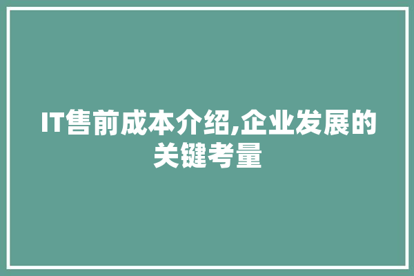 IT售前成本介绍,企业发展的关键考量