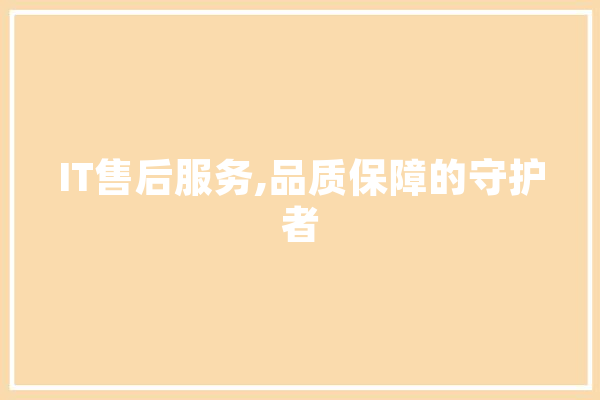 IT售后服务,品质保障的守护者