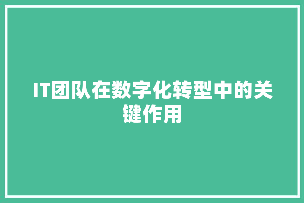 IT团队在数字化转型中的关键作用