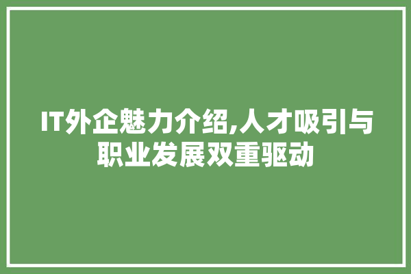 IT外企魅力介绍,人才吸引与职业发展双重驱动