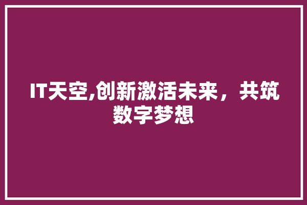 IT天空,创新激活未来，共筑数字梦想