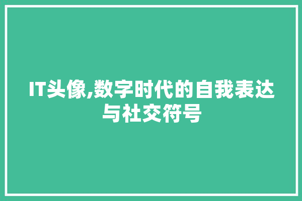 IT头像,数字时代的自我表达与社交符号