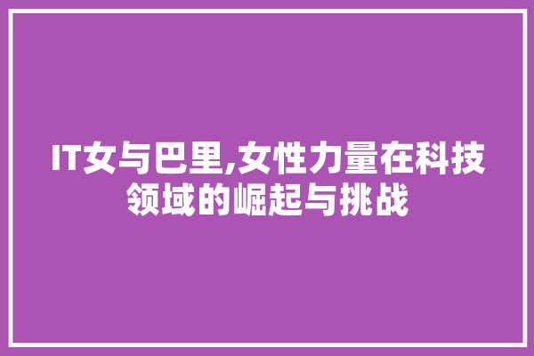 IT女与巴里,女性力量在科技领域的崛起与挑战