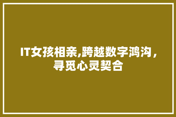 IT女孩相亲,跨越数字鸿沟，寻觅心灵契合
