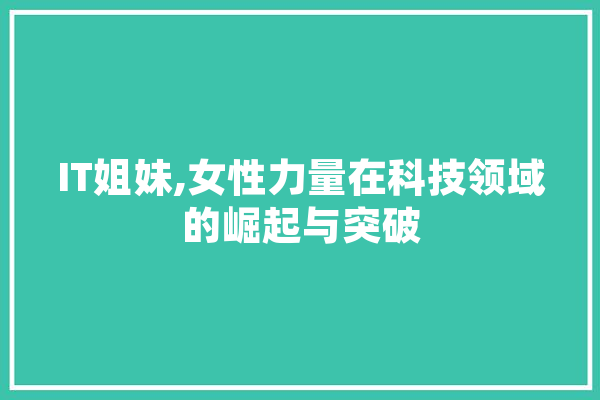 IT姐妹,女性力量在科技领域的崛起与突破