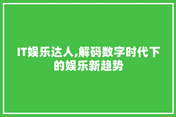 IT娱乐达人,解码数字时代下的娱乐新趋势