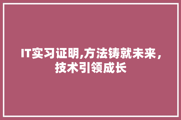 IT实习证明,方法铸就未来，技术引领成长