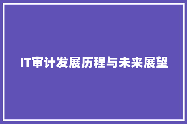 IT审计发展历程与未来展望