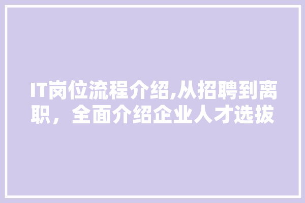 IT岗位流程介绍,从招聘到离职，全面介绍企业人才选拔之路