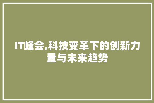 IT峰会,科技变革下的创新力量与未来趋势