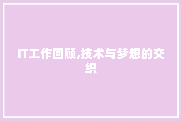 IT工作回顾,技术与梦想的交织