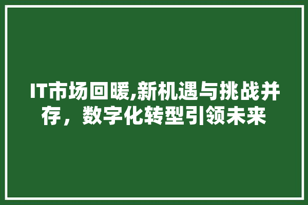 IT市场回暖,新机遇与挑战并存，数字化转型引领未来 智能写作