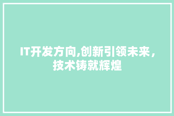 IT开发方向,创新引领未来，技术铸就辉煌