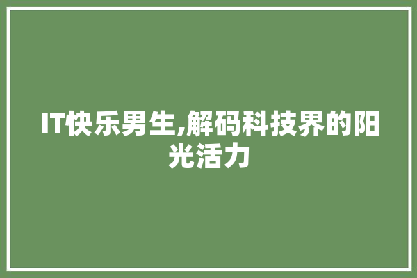 IT快乐男生,解码科技界的阳光活力