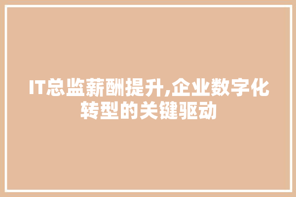 IT总监薪酬提升,企业数字化转型的关键驱动