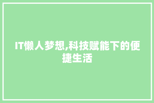 IT懒人梦想,科技赋能下的便捷生活