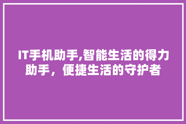 IT手机助手,智能生活的得力助手，便捷生活的守护者